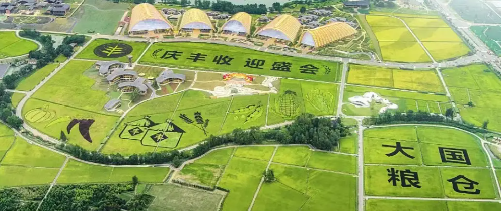 第五个中国农民丰收节|时博平台（中国）ios/安卓版/手机app下载携农产品品质成分低场核磁快速分析仪 亮相天府农博园